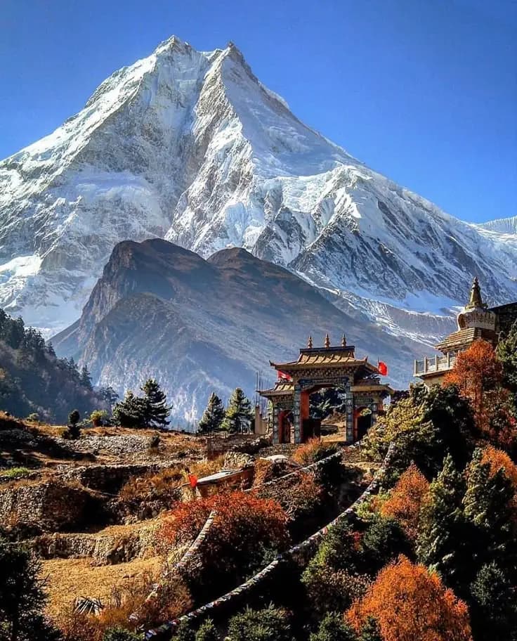 Gati Pack and Movers services in Nepal
