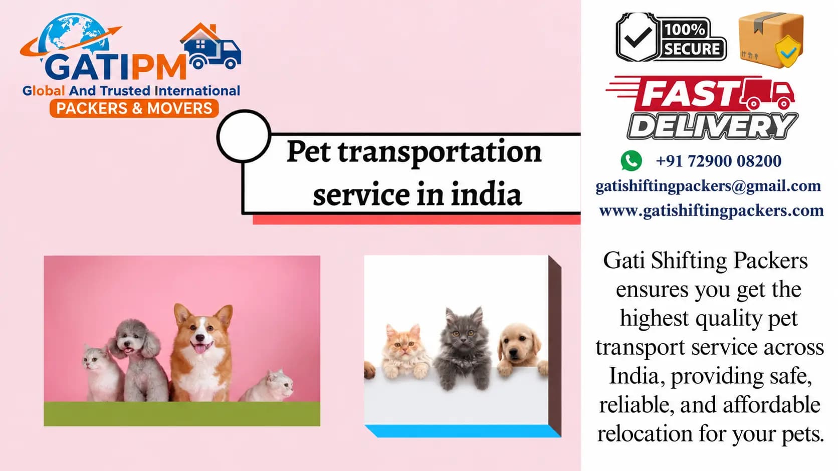 Pet being safely transported by Gati Pack and Movers